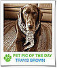 Pet Pics on PetSugar 2008-12-12 09:30:10