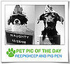 Pet Pics on PetSugar 2008-12-16 09:30:24