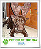 Pet Pics on PetSugar 2008-12-23 09:30:00