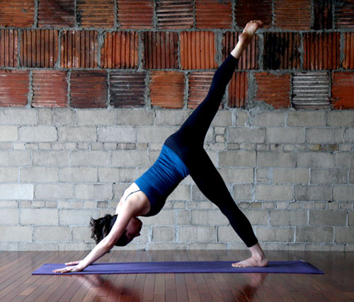 Three-Legged Dog Pose