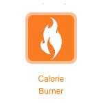 Learn Your Burn