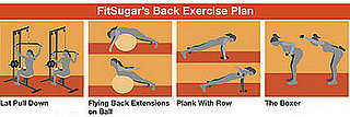 Free Exercise Plan for Strengthing and Toning the Back