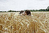 Do Tell: Have You Had Any Intimate Outdoor Experiences?
