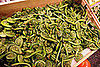 Fiddleheads in Season Now