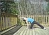 Stretch It: Side Bends on Your Knee