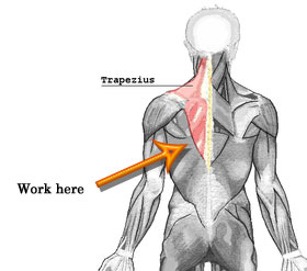 Back to Basics: Keeping Your Shoulders Down