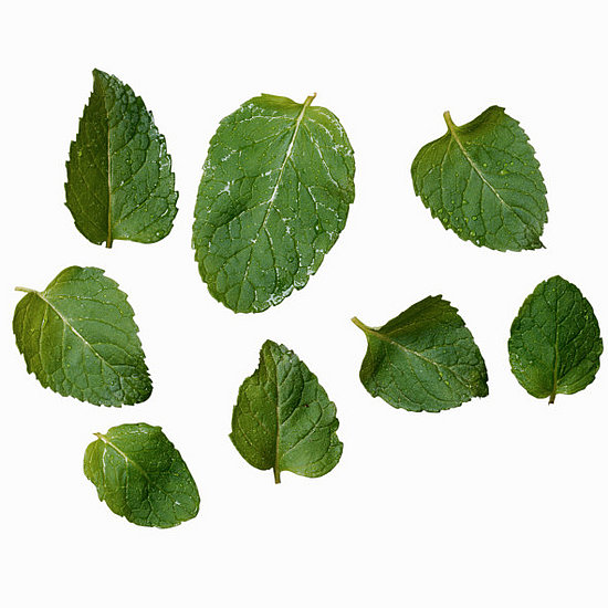 Mint