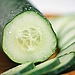 Cucumber 