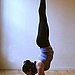 Forearm Stand