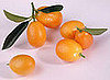 5 Things You Probably Didn't Know About Kumquats