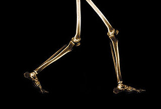 Things to Know About Running and Your Knees 