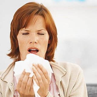 Should Paid Sick Time Be an Employment Standard?