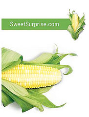 More on High Fructose Corn Syrup More on High Fructose Corn Syrup