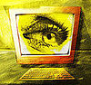 Bugging Out: How to Deal With Computer Eye Strain