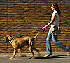 Fit Tip: Take Your Dog (and Yourself) For a Walk  