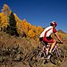 Mountain Biking