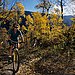 Which Autumn Activity Is Your Favorite?