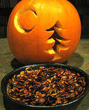 Sweet and Salty Pumpkin Seeds Sweet and Salty Pumpkin Seeds