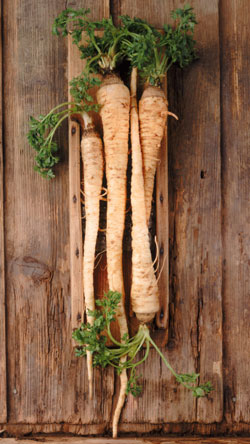 Learn to Love Parsnips 
