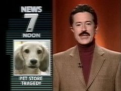 Stephen Colbert Spoofs Bill O'Reilly's Temper Tantrum Stephen Colbert Spoofs Bill O'Reilly's Temper Tantrum