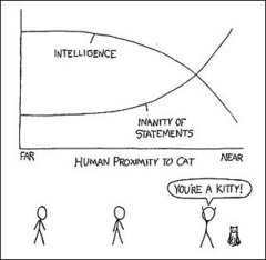 This Explains Everything