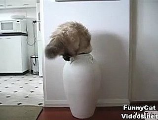 Happy Caturday! 
