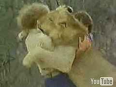 Cute Alert: Lion Has Two Daddies Cute Alert: Lion Has Two Daddies