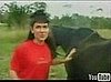 Horse Poops on Woman's Head