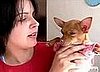 Cute Alert: Singing Chihuahua
