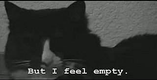 Cat Fur-losophy 