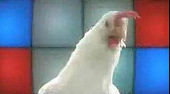 Techno Chicken Rules! Techno Chicken Rules!