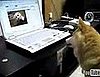 Just Watch This and You Will Explode