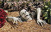 Would You Stick This Fellow in Your Garden?