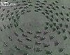 Flashback: Amazing Synchronized Motorcycles in Italy