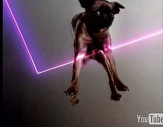 Best Music Video Ever