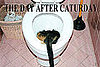 The Day After Caturday