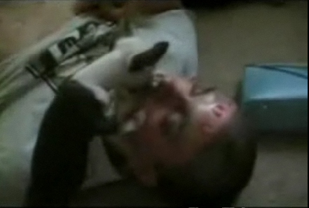 Little Dog Kisses Passed Out Guy