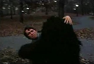 Flashback: Schwarzenegger vs. Bear