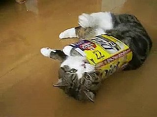Happy Caturday!