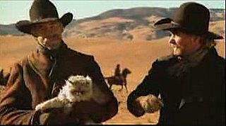 Broke Cat Mountain