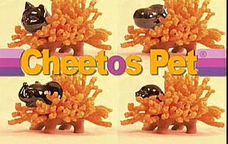 Grow Your Own Cheetos!