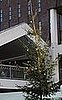 Country's Worst Christmas Tree Unveiled to Shoppers
