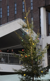 Country's Worst Christmas Tree Unveiled to Shoppers