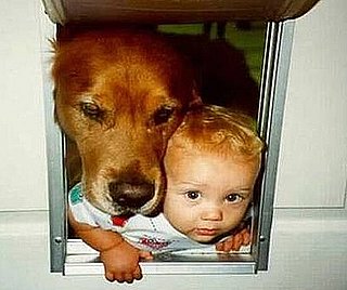 Pets and Babies