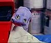 Wherefore Art Thou, Sock Puppet? 