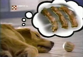 The Most Influential Commercial Known to Man, Woman, Dog 