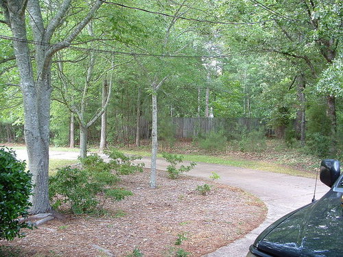 Graveyard pix