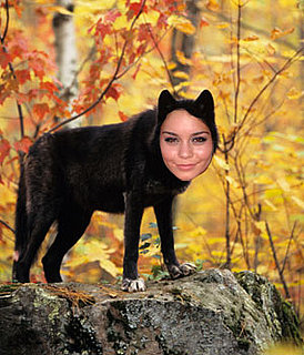 Vanessa Hudgens Rumored to Join Cast of New Moon: Discuss!