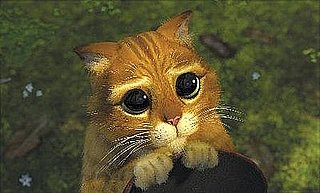 Awww — Puss in Boots Spinoff in the Works!
