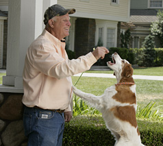 Meet the Contestants of Greatest American Dog